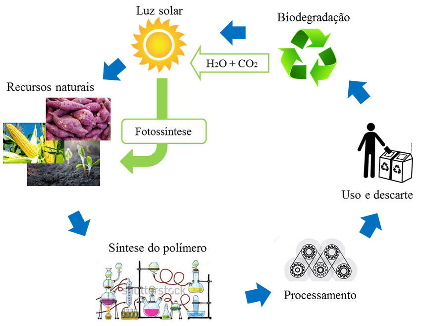 Ciclo de Vida de Polímeros Biodegradáveis