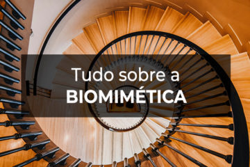 Biomimética